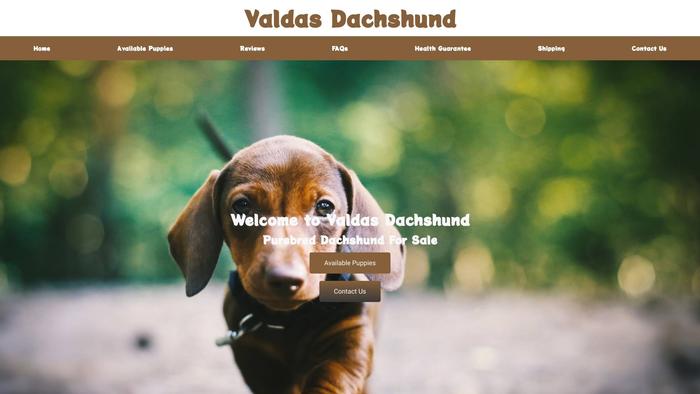 Valdasdachshund.com - Dachshund Puppy Scam Review