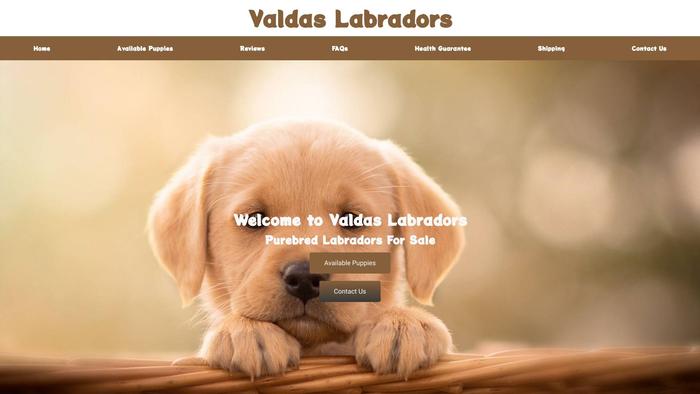 Valdaslabrador.com - Labrador Puppy Scam Review