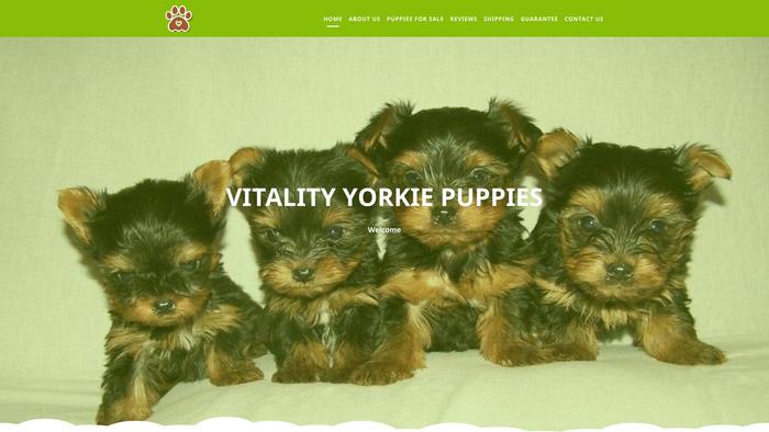 Vitalityyorkiepuppies.com - Yorkshire Terrier Puppy Scam Review