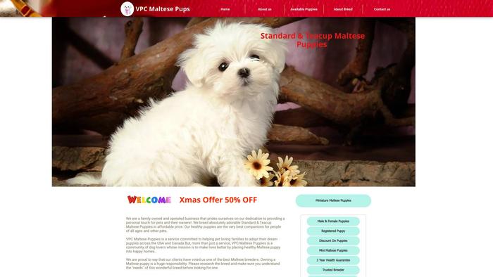 Vpcmaltesepups.com - Maltese Puppy Scam Review