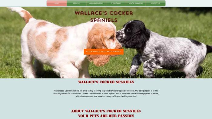 Wallacecockerspaniels.com - Cockerspaniel Puppy Scam Review