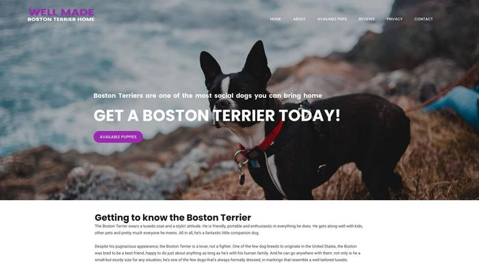 Wellmadebostonterrierhome.com - Boston Terrier Puppy Scam Review