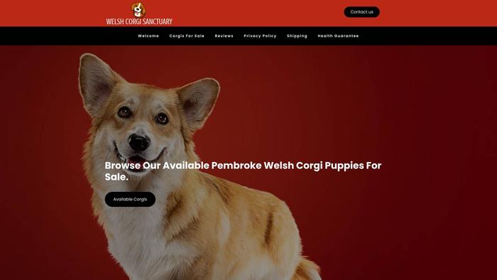 Welshcorgisanctuary.com - Corgi Puppy Scam Review