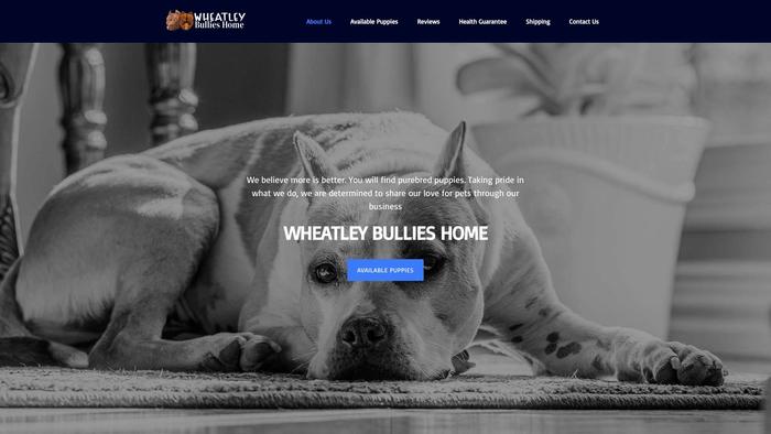 Wheatleybullieshome.com - French Bulldog Puppy Scam Review