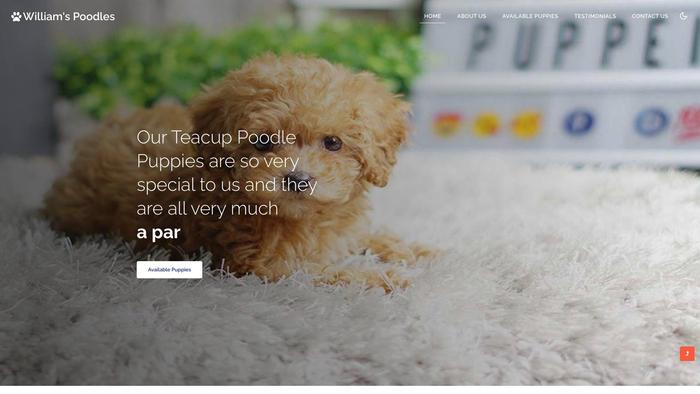 Williamspoodles.com - Poodle Puppy Scam Review