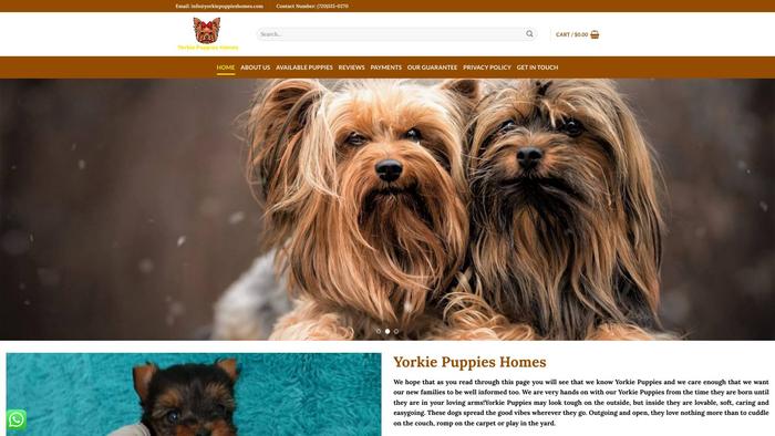 Yorkiepuppieshomes.com - Yorkshire Terrier Puppy Scam Review