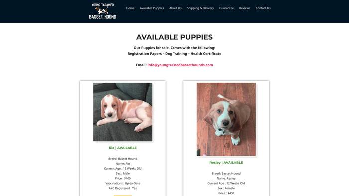 Youngtrainedbassethounds.com - Bassethound Puppy Scam Review