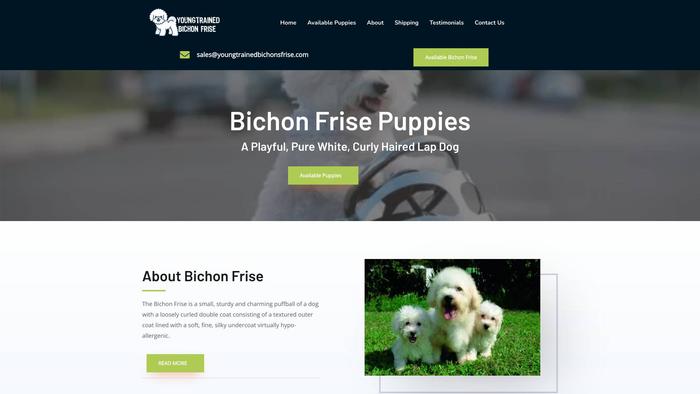 Youngtrainedbichonsfrise.com - Bichon Frise Puppy Scam Review