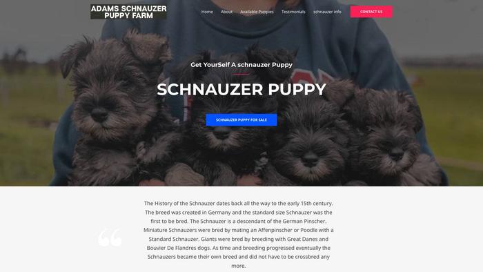 Adamsschnauzerpuppyfarm.com - Schnauzer Puppy Scam Review