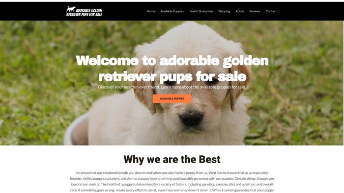 Adorablegoldenretrieverpupsforsale.com - Golden Retriever Puppy Scam Review