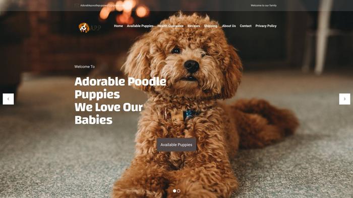 Adorablepoodlepuppies.site - Poodle Puppy Scam Review