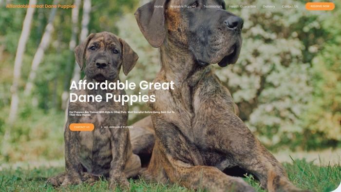 Affordablegreatdanepuppies.com - Great Dane Puppy Scam Review