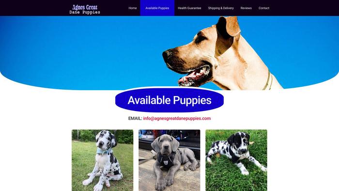 Agnesgreatdanepuppies.com - Great Dane Puppy Scam Review