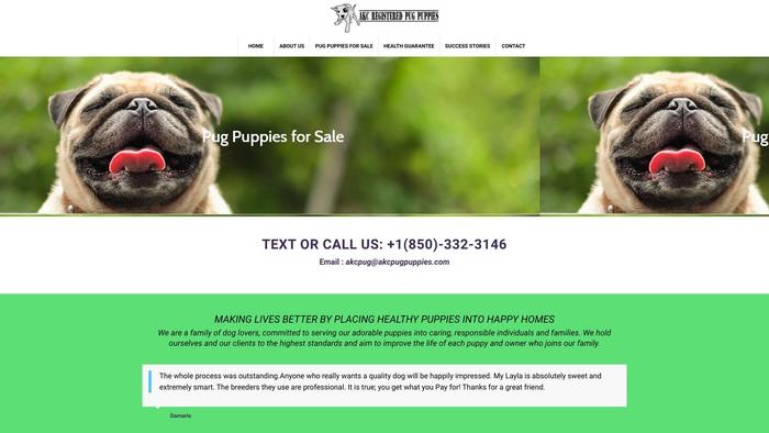 Akcpugpuppies.com - Pug Puppy Scam Review