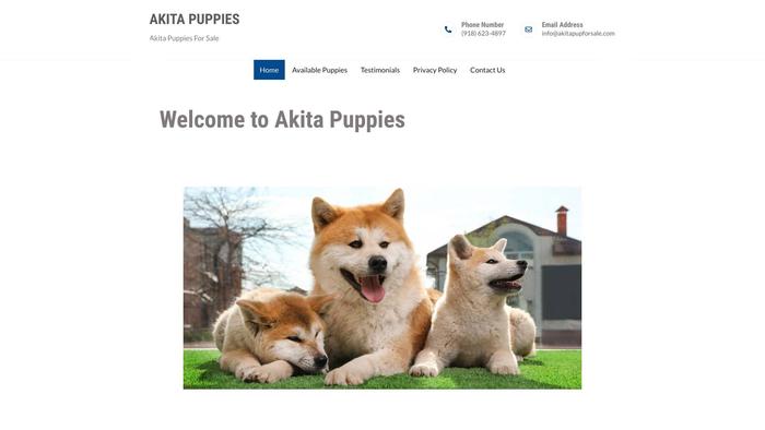 Akitapupforsale.com - Akita Puppy Scam Review