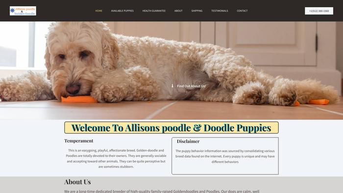 Allisonspoodleanddoodlepuppies.com - Poodle Puppy Scam Review