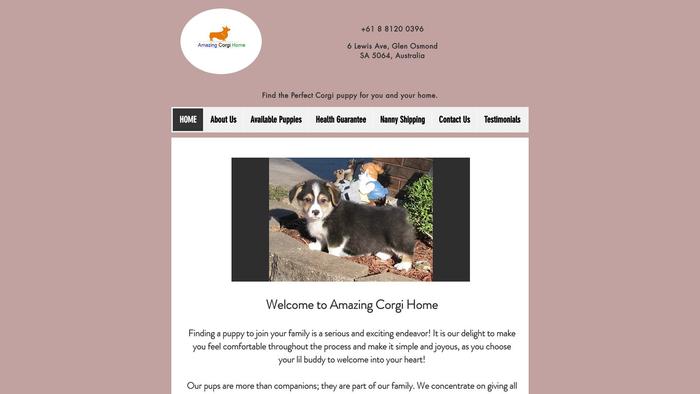 Amazingcorgihome.com - Corgi Puppy Scam Review