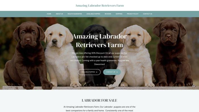 Amazinglabradorretrieversfarm.com - Golden Retriever Puppy Scam Review