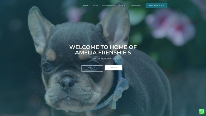 Ameliafrenchies.com - French Bulldog Puppy Scam Review