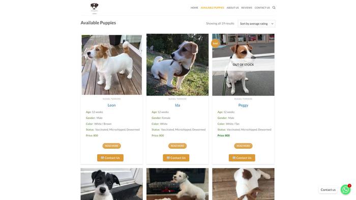 Arianaparsonrussellterriers.com - Terrier Puppy Scam Review