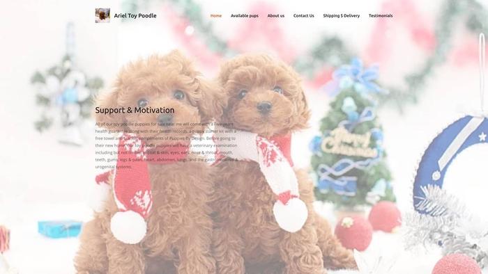 Arieltoyteacuppoodleshome.com - Poodle Puppy Scam Review