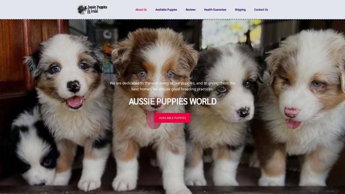 Aussiepuppiesworld.com - Australian Shepherd Puppy Scam Review