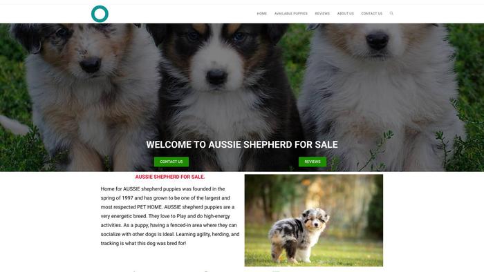 Aussieshepherdforsale.com - Australian Shepherd Puppy Scam Review