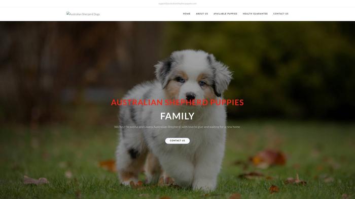 Australianshepherpuppies.com - Germanshepherd Puppy Scam Review