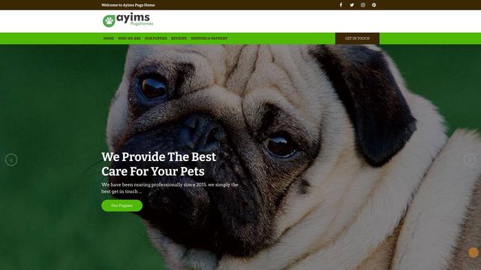 Ayimspugshomes.com - Pug Puppy Scam Review