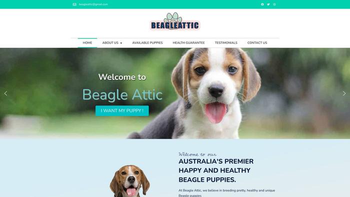 Beagleattic.com.au - Beagle Puppy Scam Review