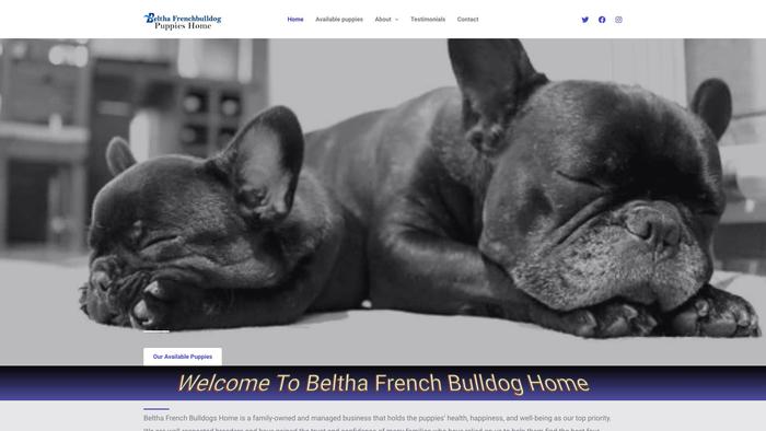 Belthafrenchbulldogpups.com - French Bulldog Puppy Scam Review