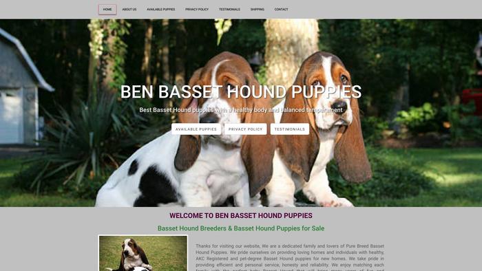 Benshoundbasset.com - Bassethound Puppy Scam Review