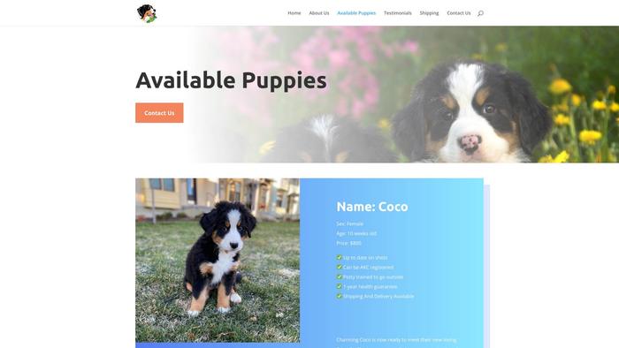 Bernesemountainpup.com - Bernese Mountain Dog Puppy Scam Review