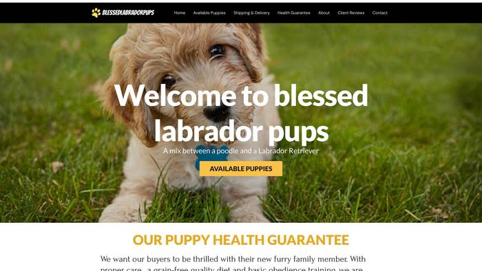 Blessedlabradorpups.com - Labrador Puppy Scam Review