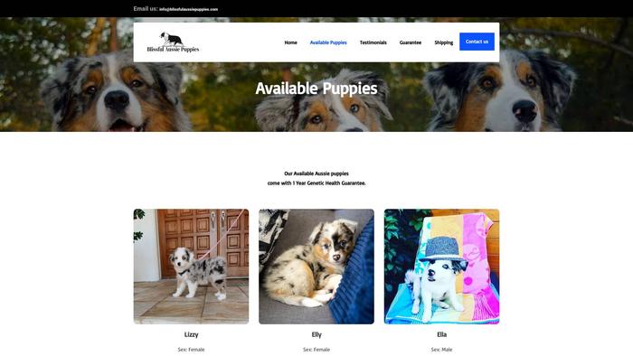 Blissfulaussiepuppies.com - Australian Shepherd Puppy Scam Review