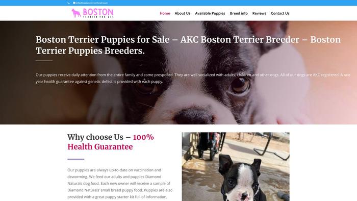 Bostonterrierforall.com - Boston Terrier Puppy Scam Review