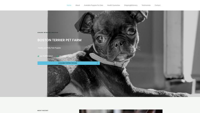 Bostonterrierpetfarm.com - Boston Terrier Puppy Scam Review