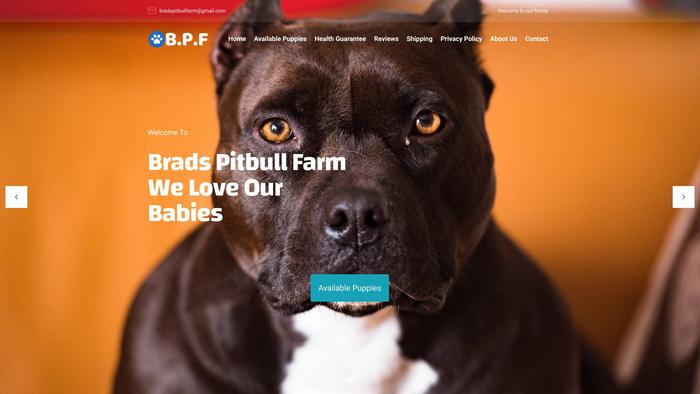 Bradspitbullfarm.com - Pit Bull Puppy Scam Review