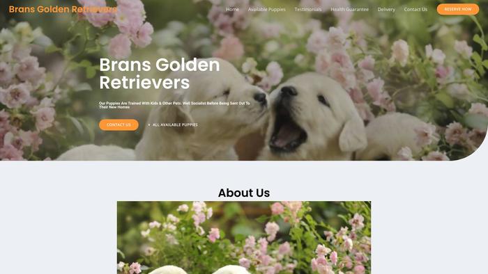 Bransgoldenretrievers.com - Golden Retriever Puppy Scam Review