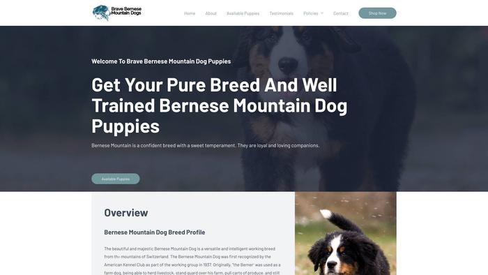 Bravebernesemountaindogpuppies.com - Bernese Mountain Dog Puppy Scam Review