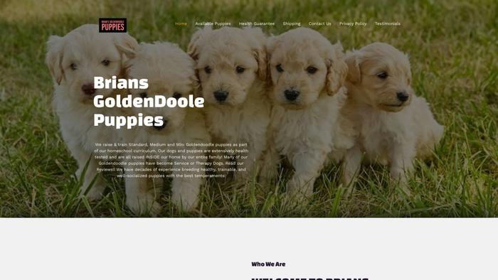 Briansgoldendoodlepuppies.com - Golden Doodle Puppy Scam Review