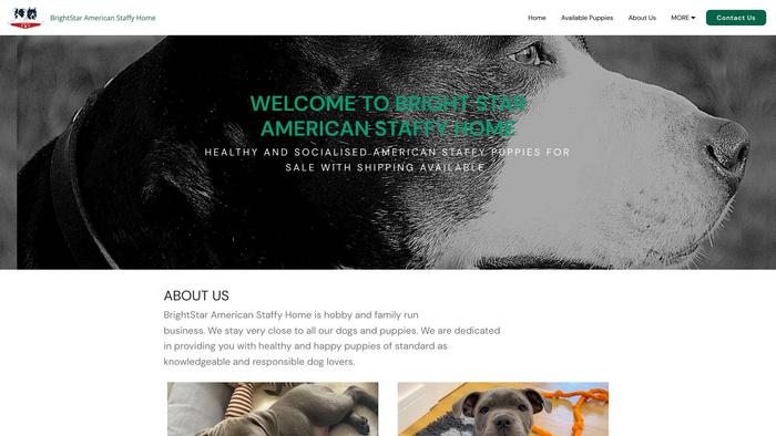 Brightstaramericanstaffyhome.com - Terrier Puppy Scam Review