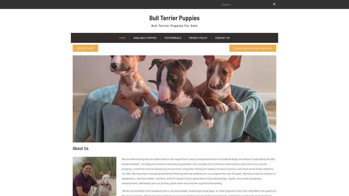 Bullterrierdogsforsale.com - Terrier Puppy Scam Review