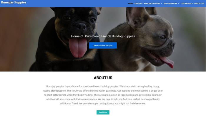 Bumajaypuppies.com - French Bulldog Puppy Scam Review