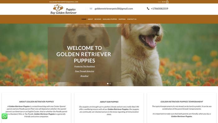 Buygoldenretrieverpuppies.com - Golden Retriever Puppy Scam Review