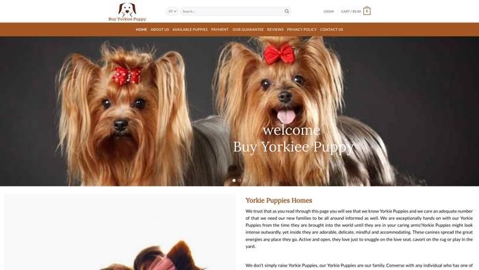 Buyyorkieepuppy.com - Yorkshire Terrier Puppy Scam Review