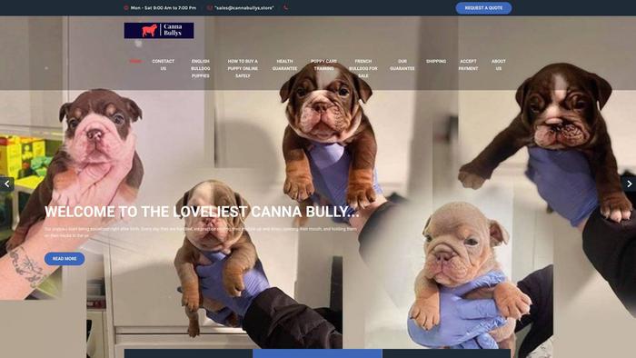 Cannabullys.store - English Bulldog Puppy Scam Review