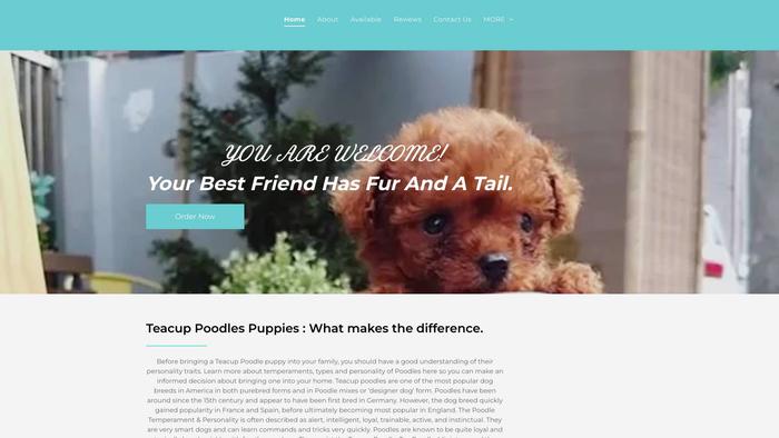 Caregardenteacuppuppies.com - Yorkshire Terrier Puppy Scam Review