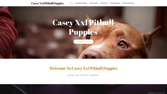 Caseyxxlpitbullpuppies.xyz - Pit Bull Puppy Scam Review