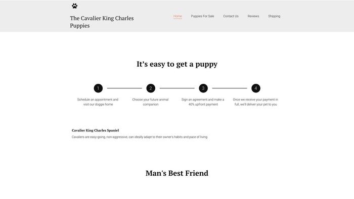 Cavalierkingcharlesspaniel.site - Cavalier King Charles Spaniel Puppy Scam Review